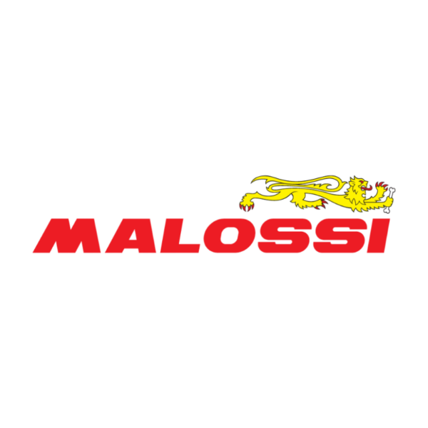 Filtro Aceite MALOSSI BWS 125 XMAX 300 NMAX 155