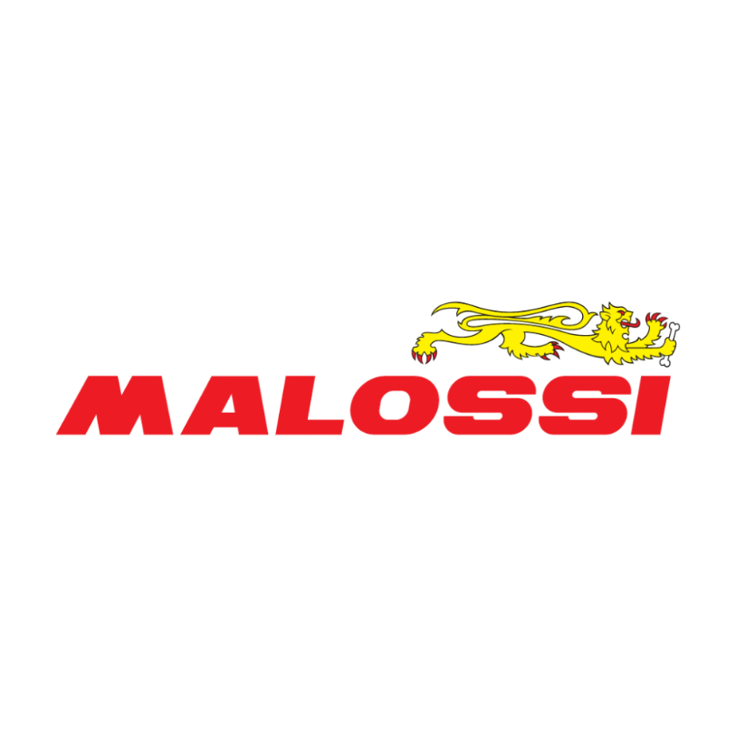 VARIADOR MALOSSI BWS 125 MULTIVAR 2000 - Imagen 2