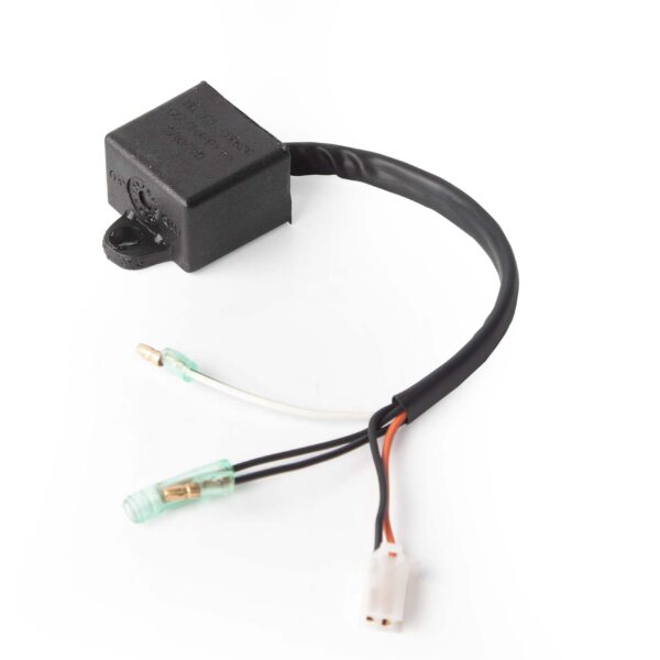 CDI BWS 100 BWS-Leo