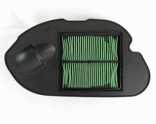 Filtro Aire Burgman 125 OEM