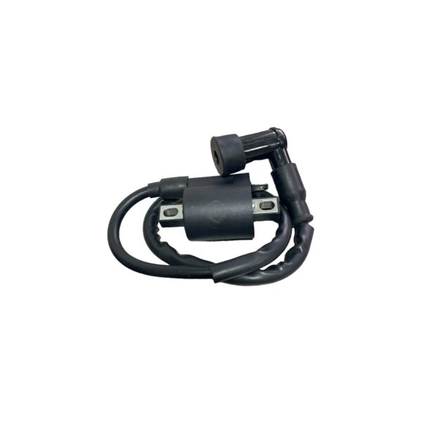 Bobina de Alta BWS 100 I/t-110 Crypton con Capuchón KNU®